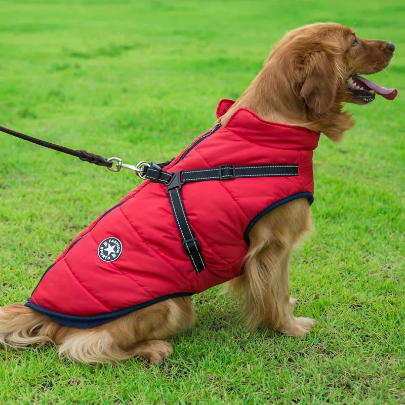 Dog Jacket With Harness Dog Clothes