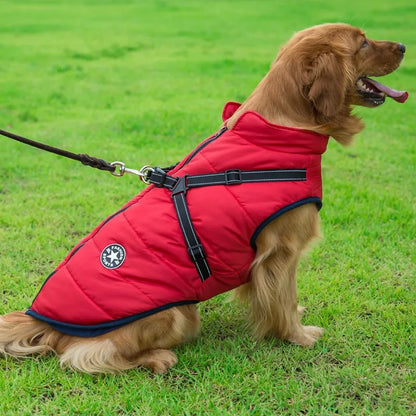 Dog Jacket With Harness Dog Clothes