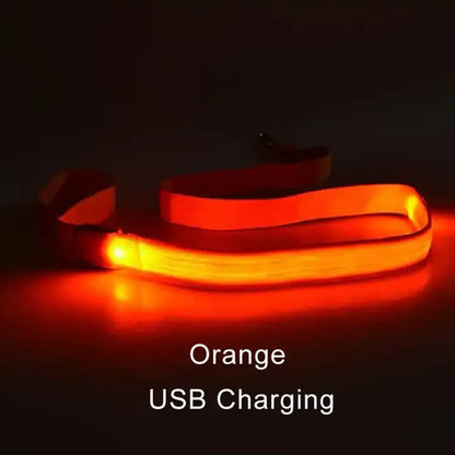 LED Light-Up Dog Leash — USB-C Rechargeable Traction Rope