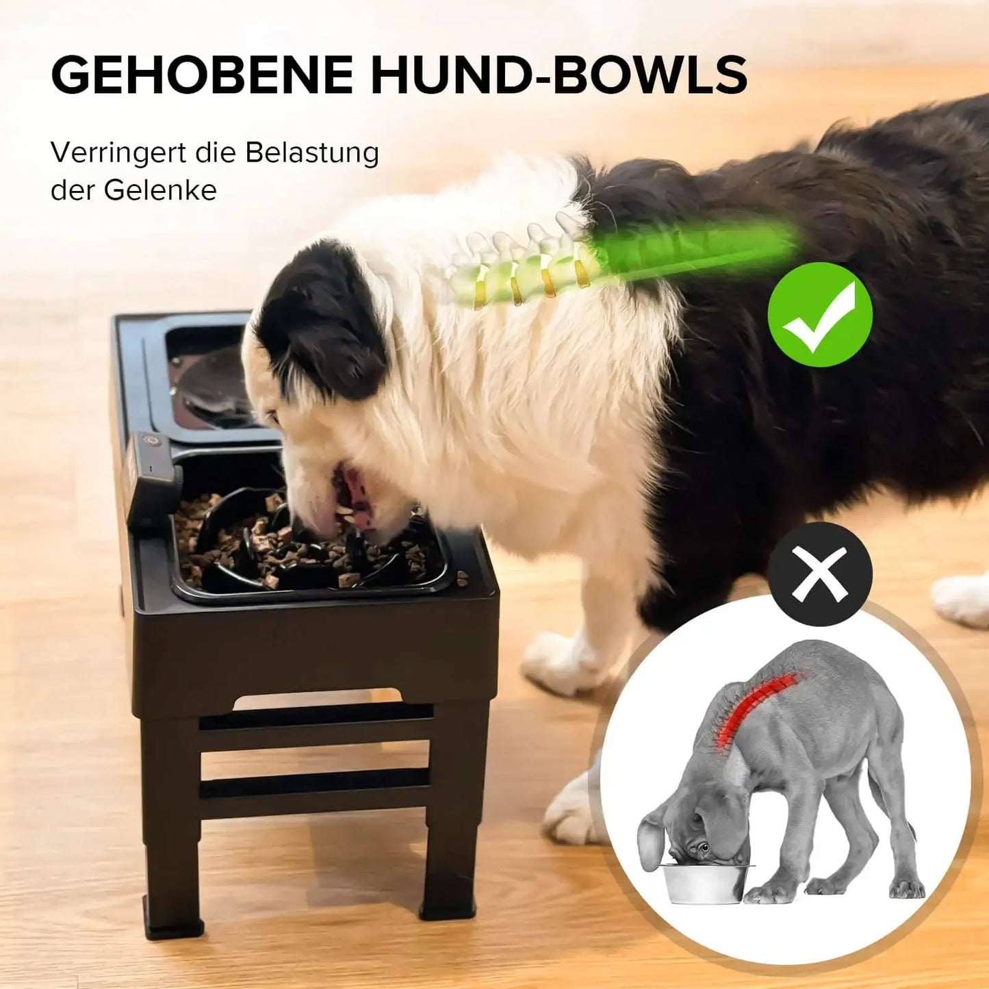 Elevated Dog Bowl Stand | Elevated Dog Bowl | Dog Slow Feeder Bowl