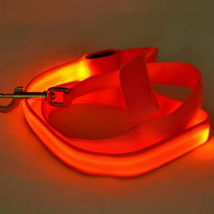 LED Light-Up Dog Leash — USB-C Rechargeable Traction Rope