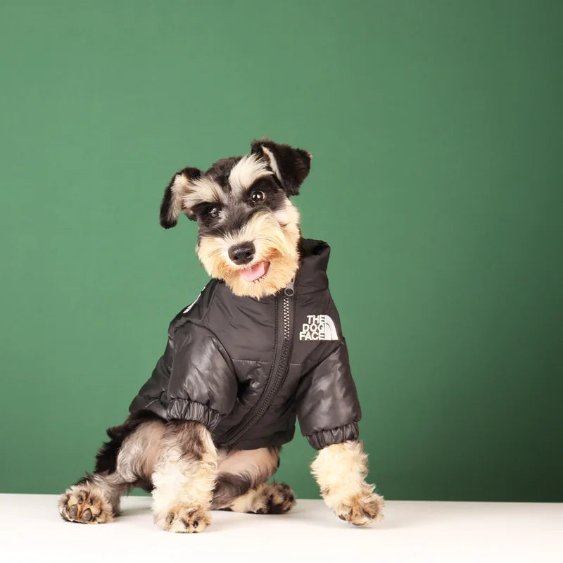 Rover Rituals | Dog Puffer Jacket – Warm, Windproof & Stylish Winter Coat