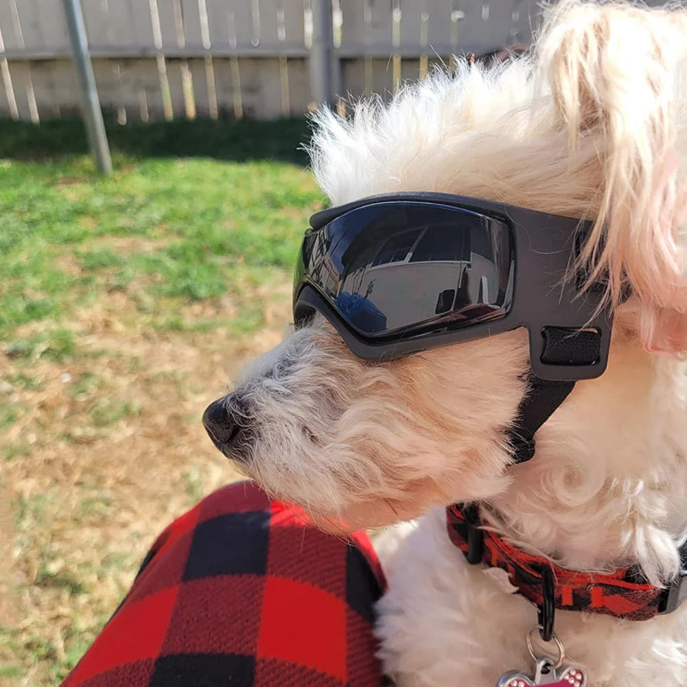 Gafas de sol con protección UV para perros al aire libre