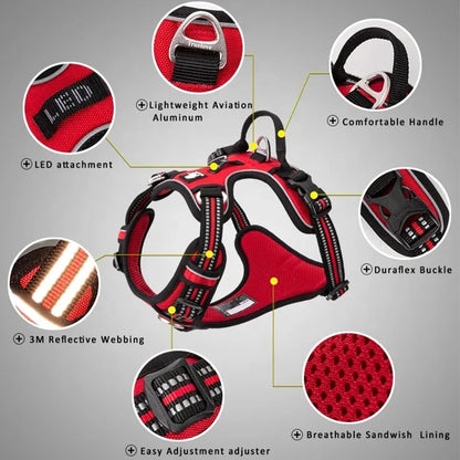 TrueLove No Pull Dog Harness and Leash Set - Reflective & Adjustable Walking Harness