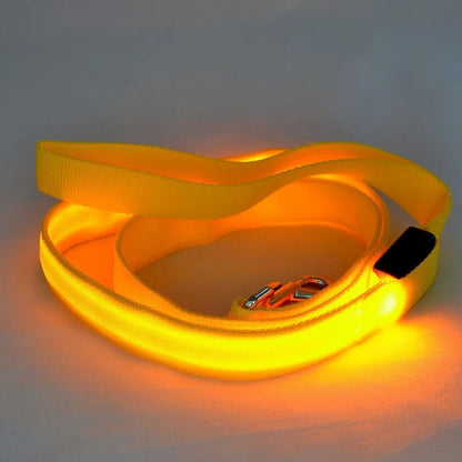 LED Light-Up Dog Leash — USB-C Rechargeable Traction Rope
