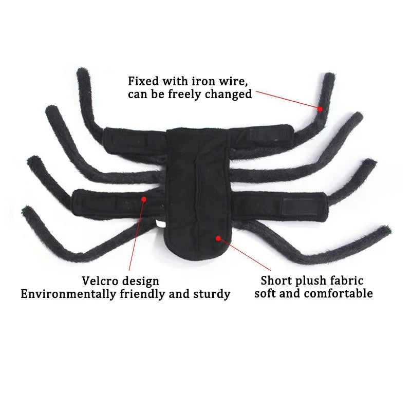 Spider Costume for Cats and Small to Medium Dogs