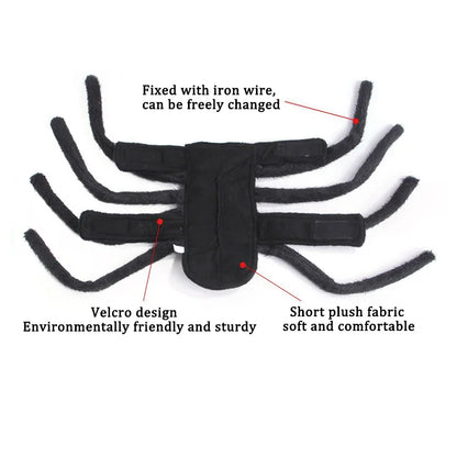 Spider Costume for Cats and Small to Medium Dogs