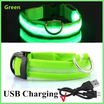 Rover Rituals | SafeShine Collar | Rechargeable glowing LED dog collar for safety night walks