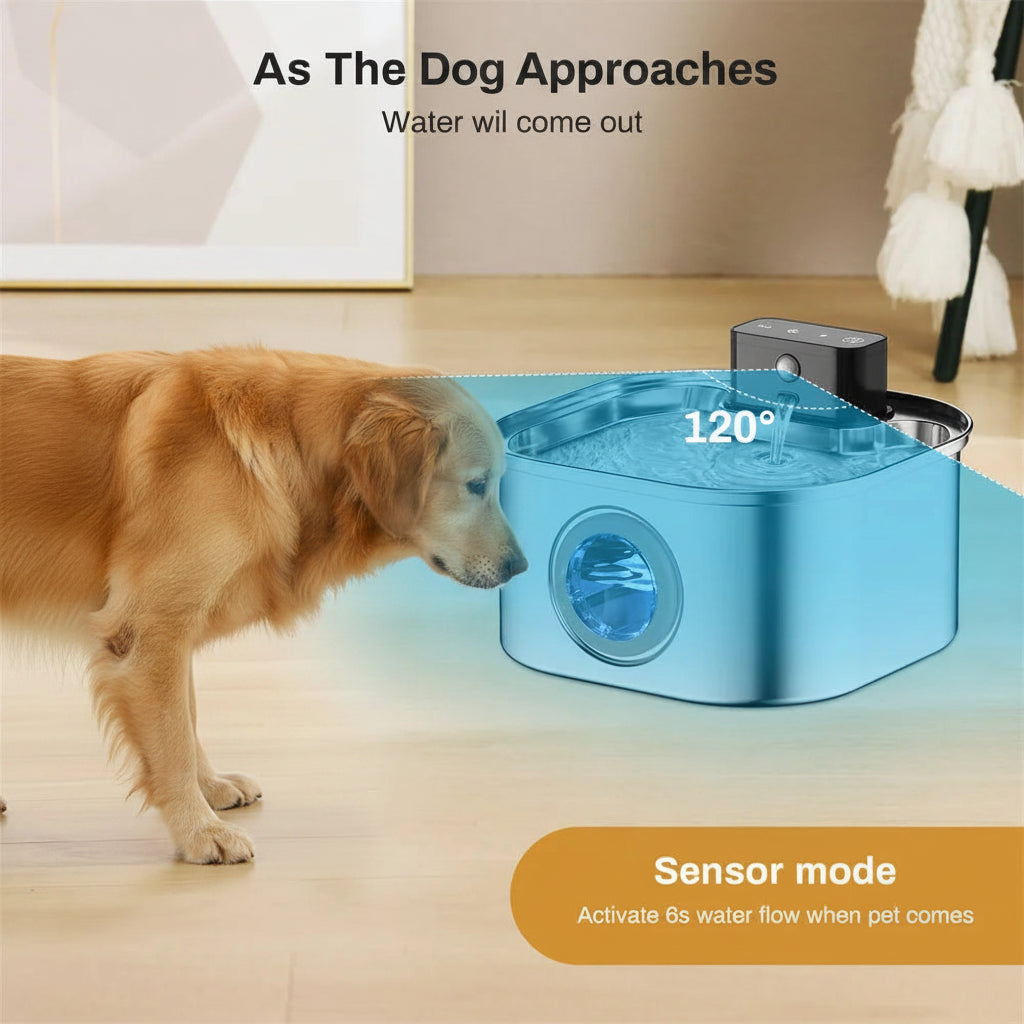 Dog approaching a pet fountain with text indicating sensor mode and water flow activation.