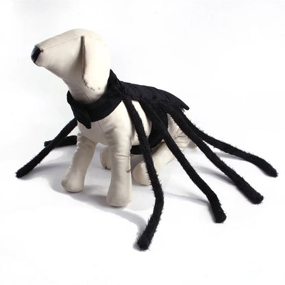 Spider Costume for Cats and Small to Medium Dogs