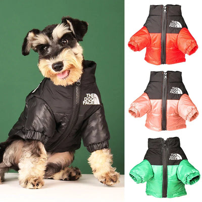 Rover Rituals | Dog Puffer Jacket – Warm, Windproof & Stylish Winter Coat
