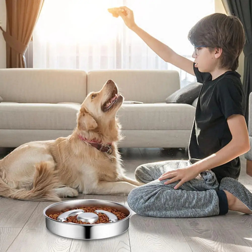 Slow Feeder Dog Bowl Stainless Steel