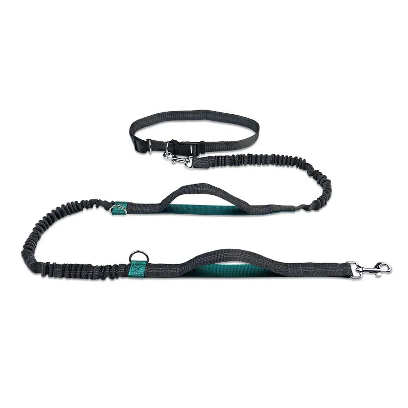 Heavy-Duty Reflective Bungee Dog Running Leash – Shock Absorbing Traction Lead for Active Dogs