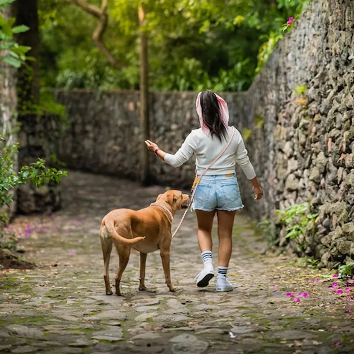 Hands Free Shoulder strap P buckle dog lead multifunctional