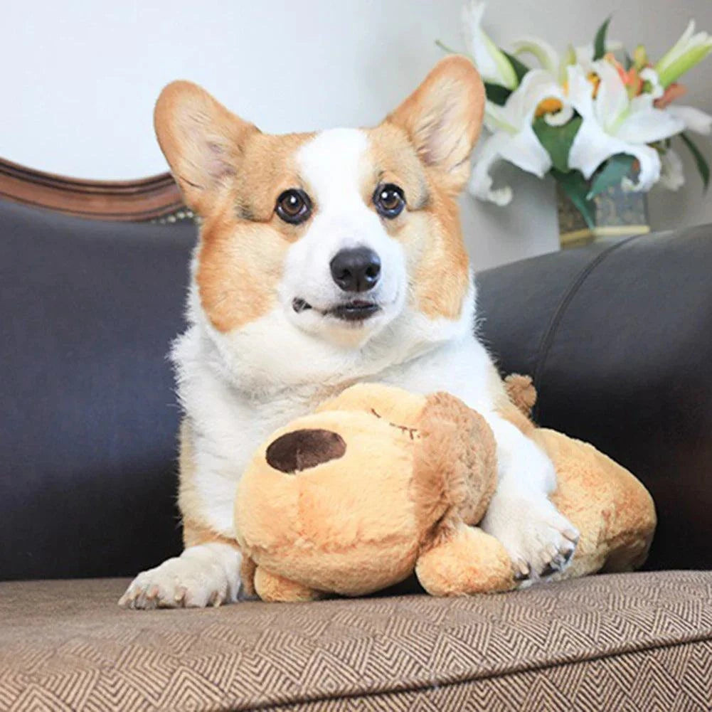 Dog Toy with Heartbeat – Calming Plush for Anxiety & Better Sleep | Rover Rituals