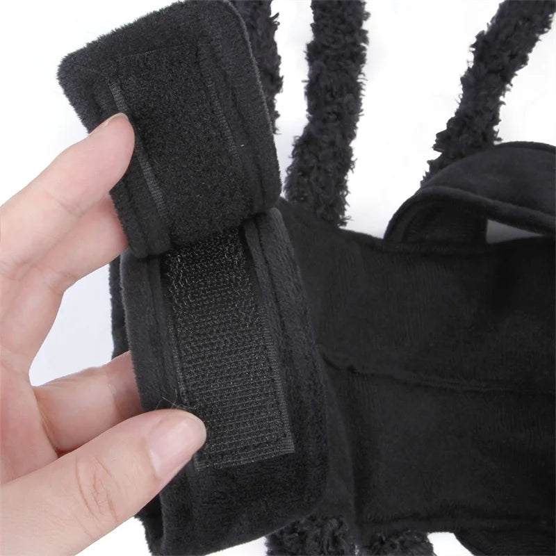 Spider Costume for Cats and Small to Medium Dogs