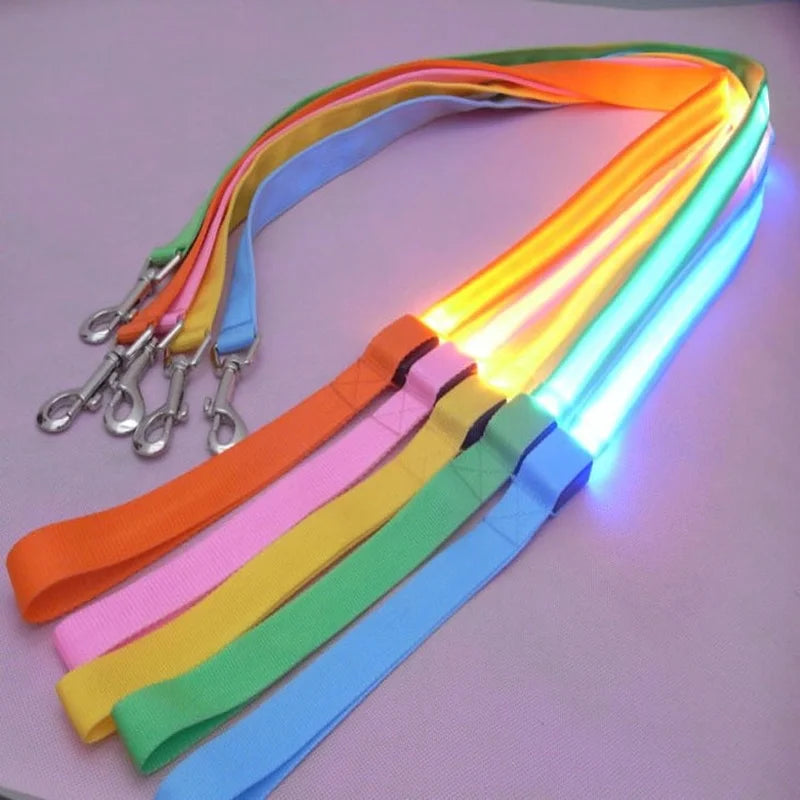 LED Light-Up Dog Leash — USB-C Rechargeable Traction Rope