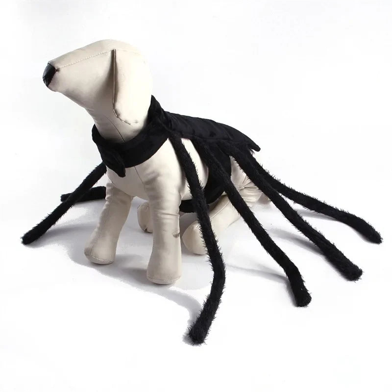 Spider Costume for Cats and Small to Medium Dogs