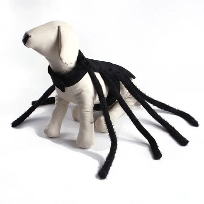 Spider Costume for Cats and Small to Medium Dogs
