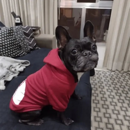 Dog Face Dog Hoodie Sweater Coat | Dog Clothes