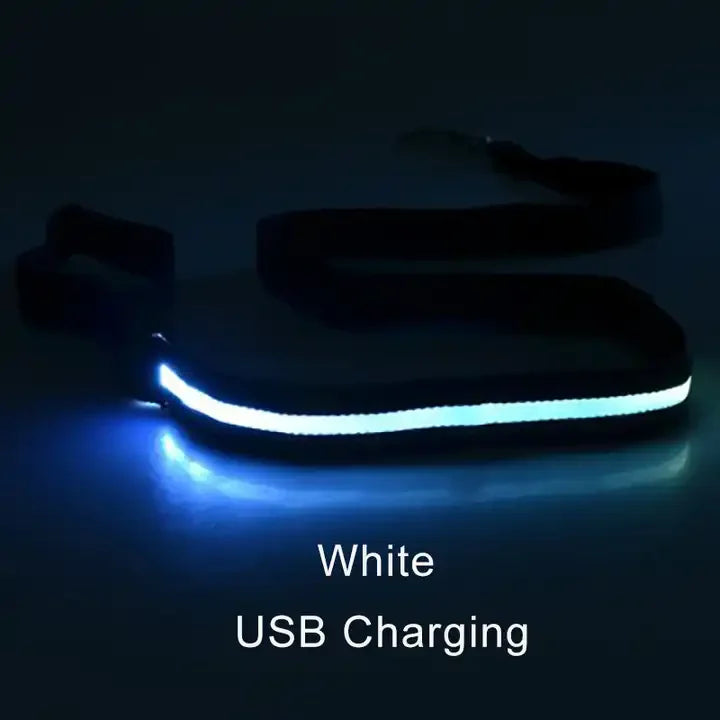 LED Light-Up Dog Leash — USB-C Rechargeable Traction Rope
