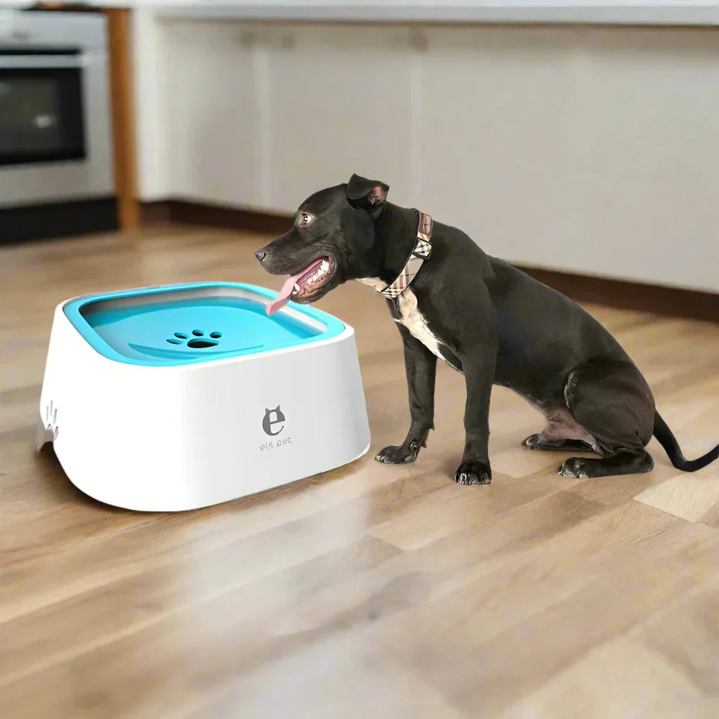 Dog Water Bowl No Spill – Keep Your Floors Dry & Your Pup Hydrated | Rover Rituals