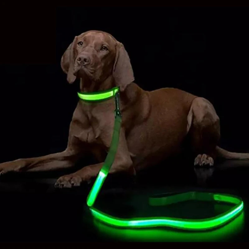 LED Light-Up Dog Leash — USB-C Rechargeable Traction Rope