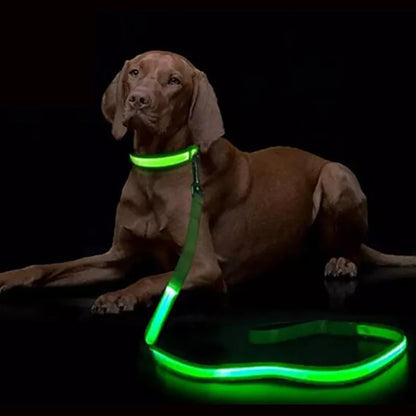 LED Light-Up Dog Leash — USB-C Rechargeable Traction Rope