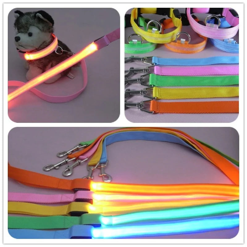 LED Light-Up Dog Leash — USB-C Rechargeable Traction Rope