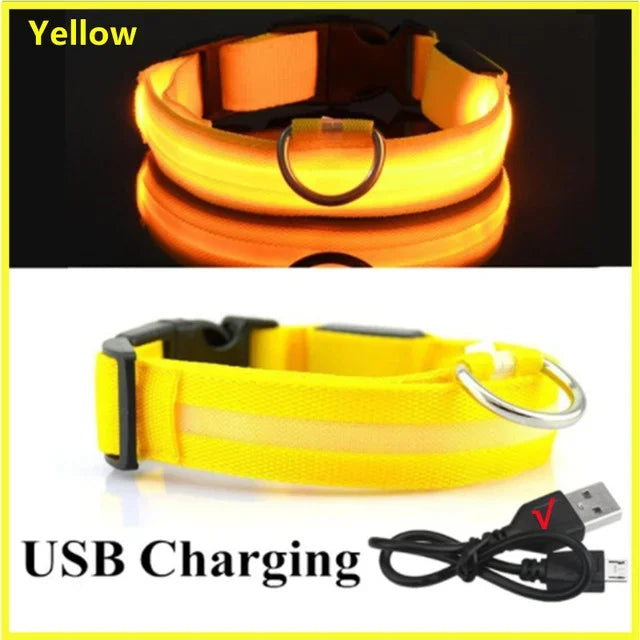 Rover Rituals | SafeShine Collar | Rechargeable glowing LED dog collar for safety night walks