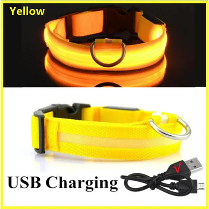 Rover Rituals | SafeShine Collar | Rechargeable glowing LED dog collar for safety night walks
