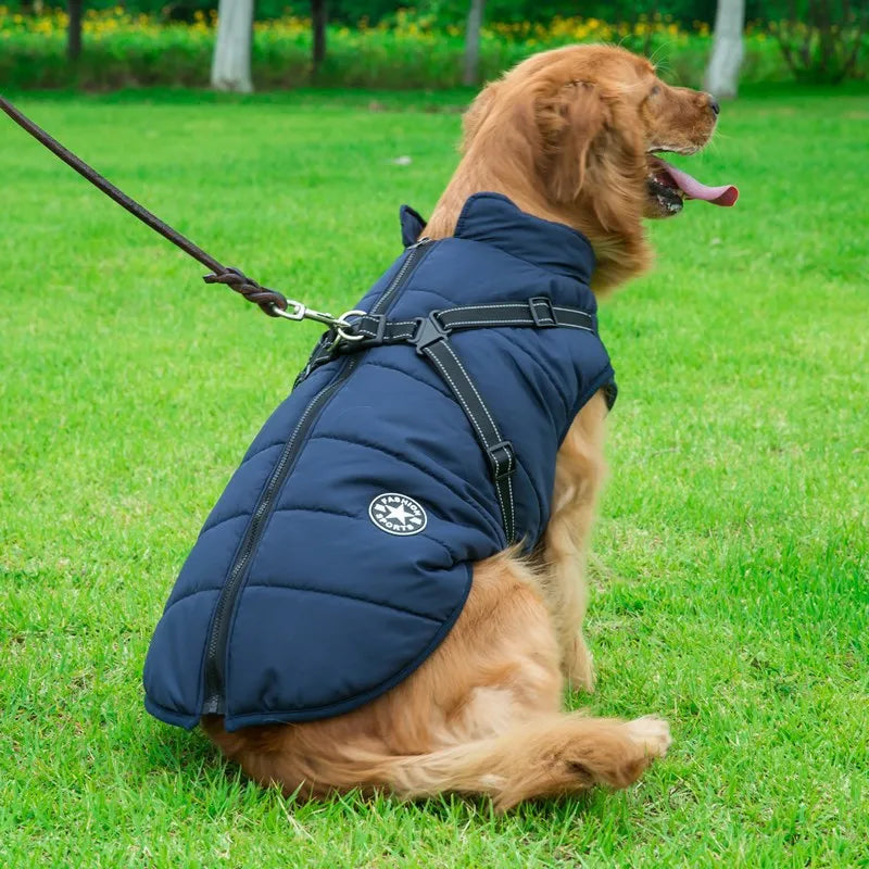 Waterproof Warm Winter Dog Jacket With Harness | Dog Clothes - Rover Rituals