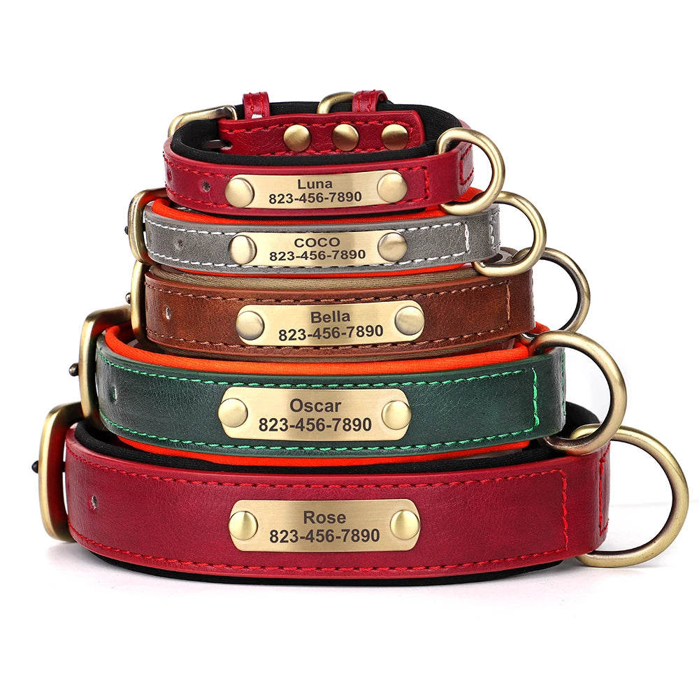 Personalized Dog Collars with Name Customizable ID Tag Nameplate