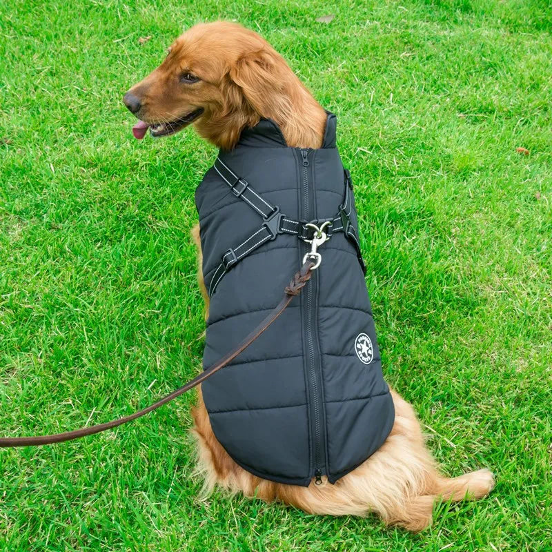 Dog Jacket With Harness Dog Clothes
