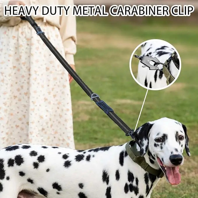 heavy duty 2 in 1 dog car seat belt buckle bungee restraint and leash