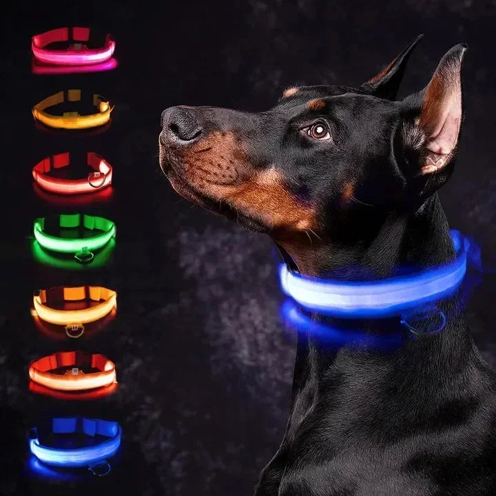 Rover Rituals | SafeShine Collar | Rechargeable glowing LED dog collar for safety night walks