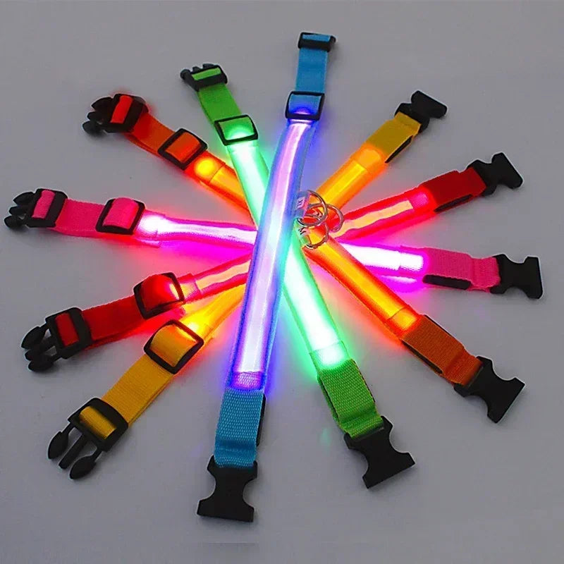 Rover Rituals | SafeShine Collar | Rechargeable glowing LED dog collar for safety night walks