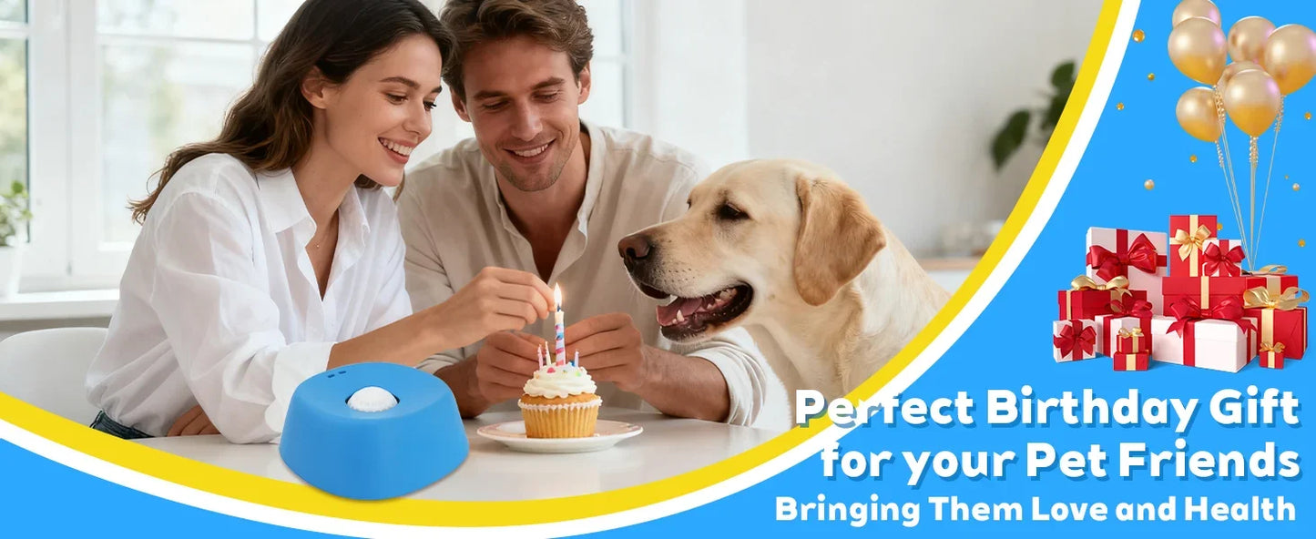 Anti-Anxiety Dog Slow Feeder Bowl Non-Slip Lick Toy - Rover Rituals