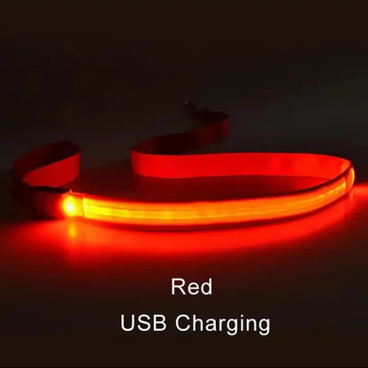 LED Light-Up Dog Leash — USB-C Rechargeable Traction Rope