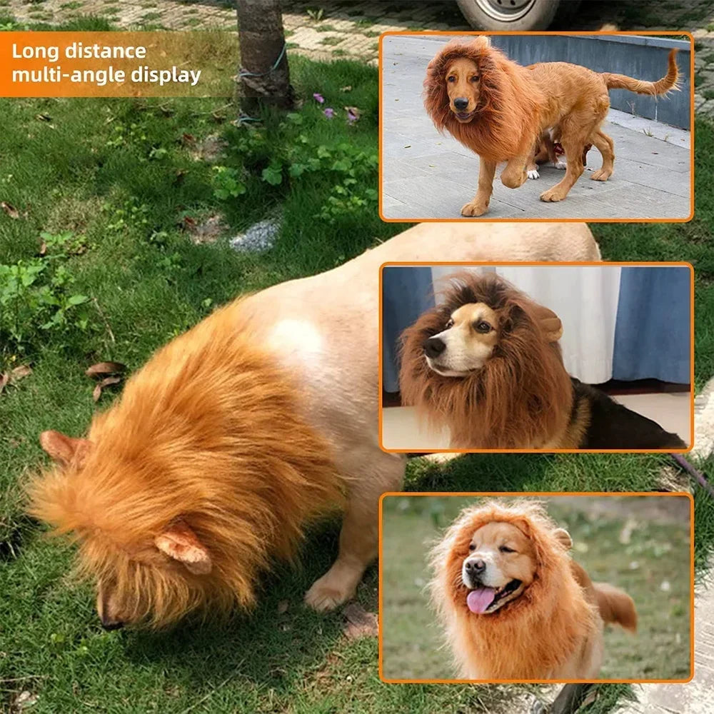 Lion Mane Costume Wig for Medium and Large Dogs