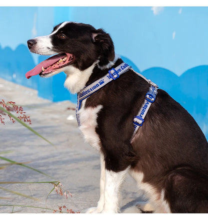 TrueLove Comfort Neoprene Adjustable Reflective Dog Harness