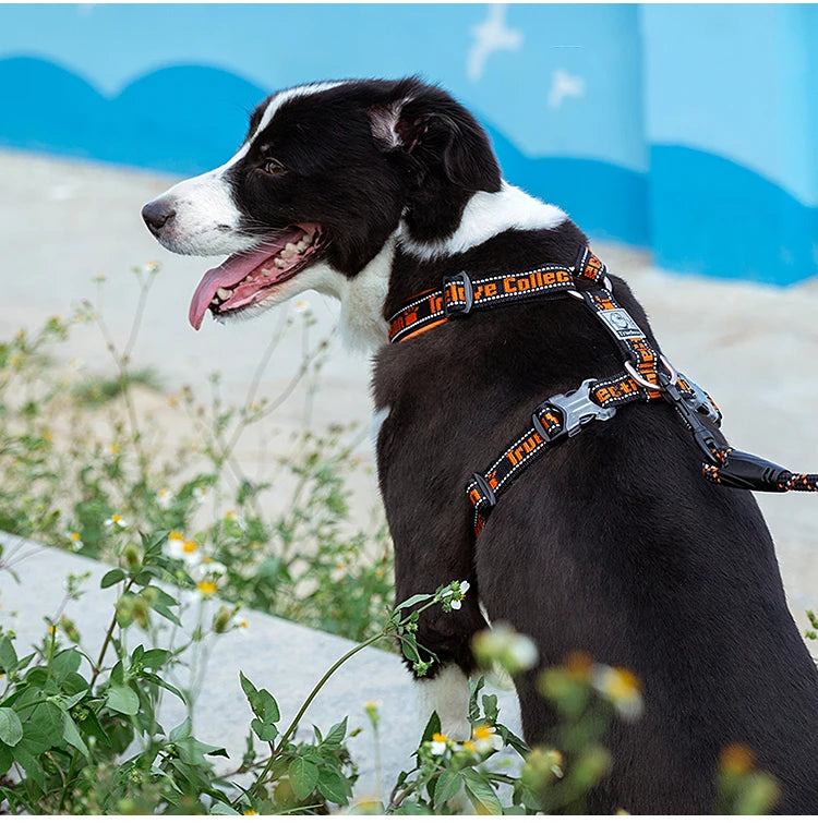 TrueLove Comfort Neoprene Adjustable Reflective Dog Harness