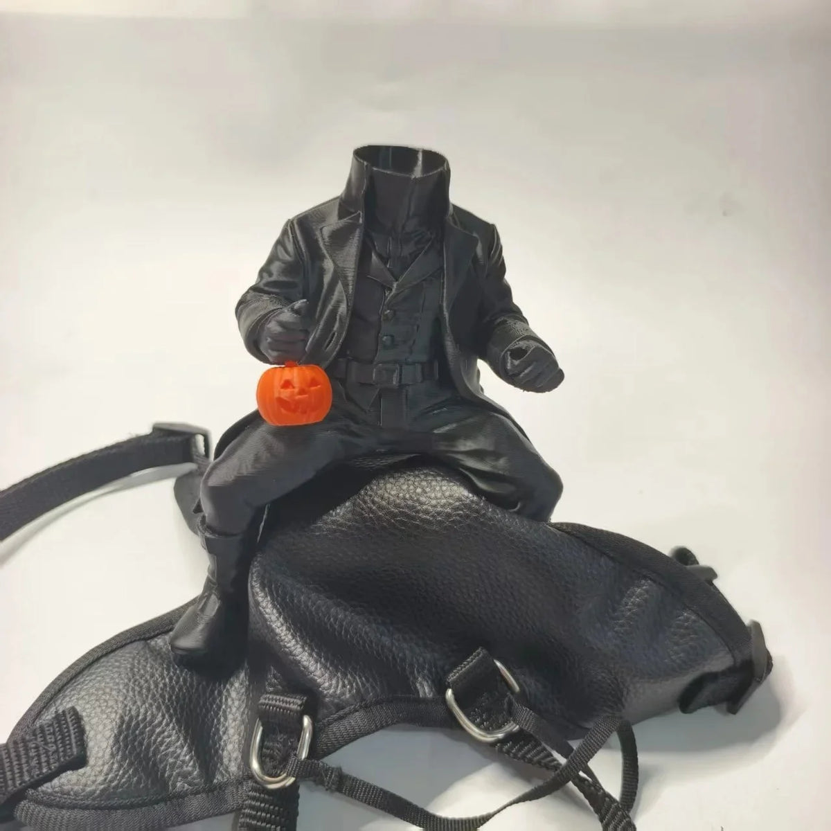 Headless Horseman Costume for Cats and Small Dogs