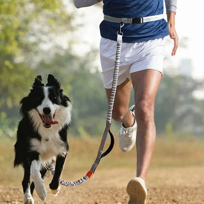 Heavy-Duty Reflective Bungee Dog Running Leash – Shock Absorbing Traction Lead for Active Dogs