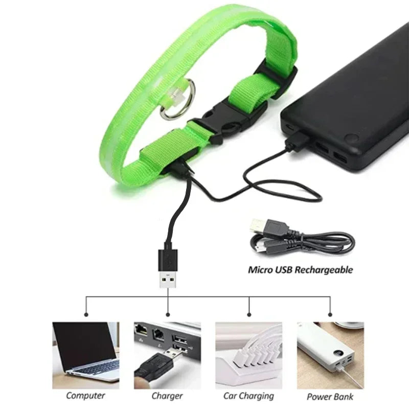 Rover Rituals | SafeShine Collar | Rechargeable glowing LED dog collar for safety night walks