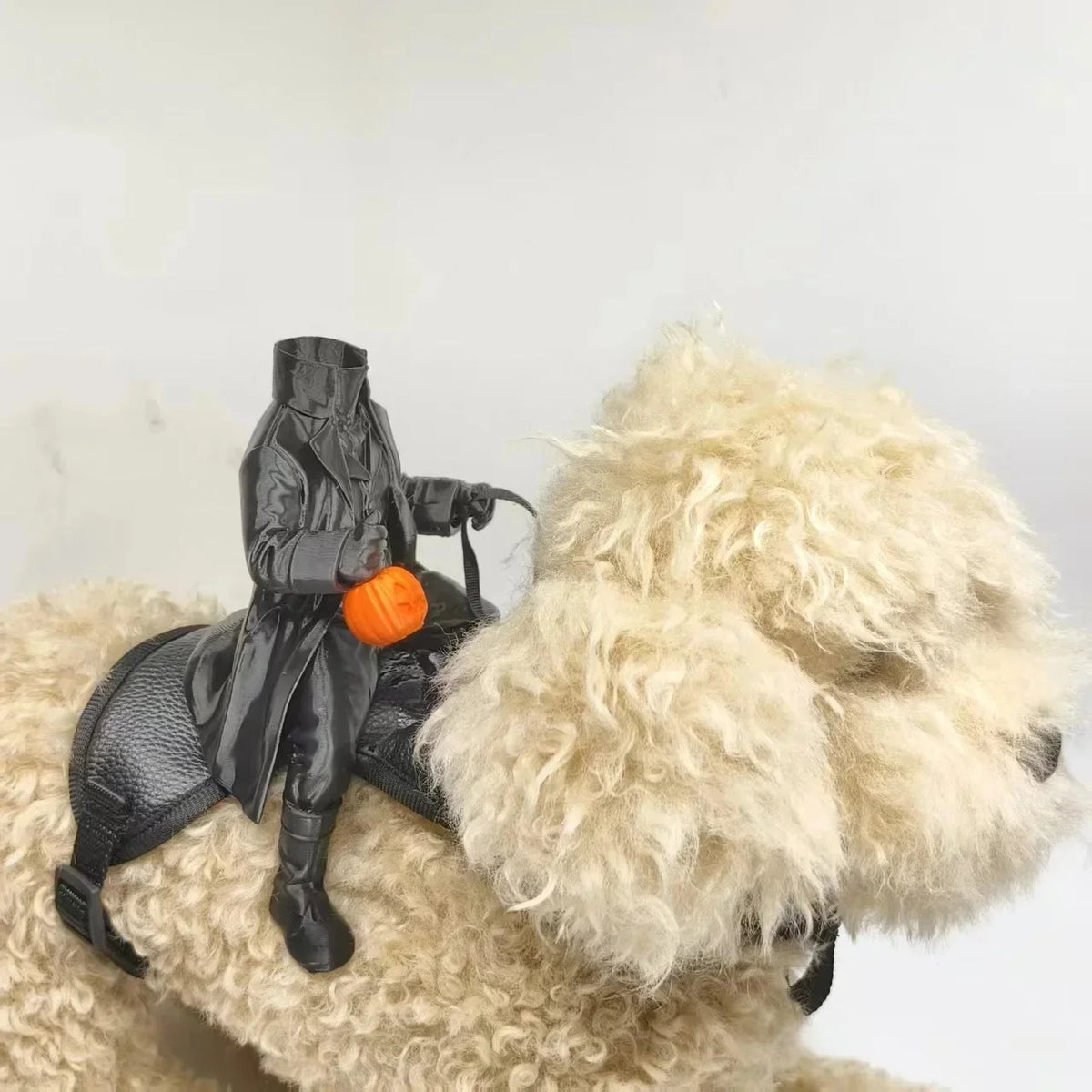 Headless Horseman Costume for Cats and Small Dogs