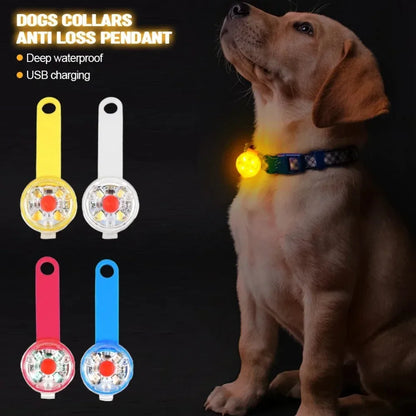 LED Dog Collar Pendant Night Safety USB Rechargeable with Light Waterproof | Dog Collars