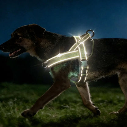 Tactical No-Pull Dog Harness – Heavy-Duty Padded Vest with Reflective Strips