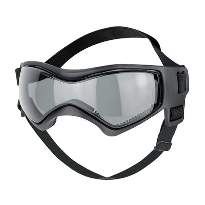 Gafas de sol con protección UV para perros al aire libre