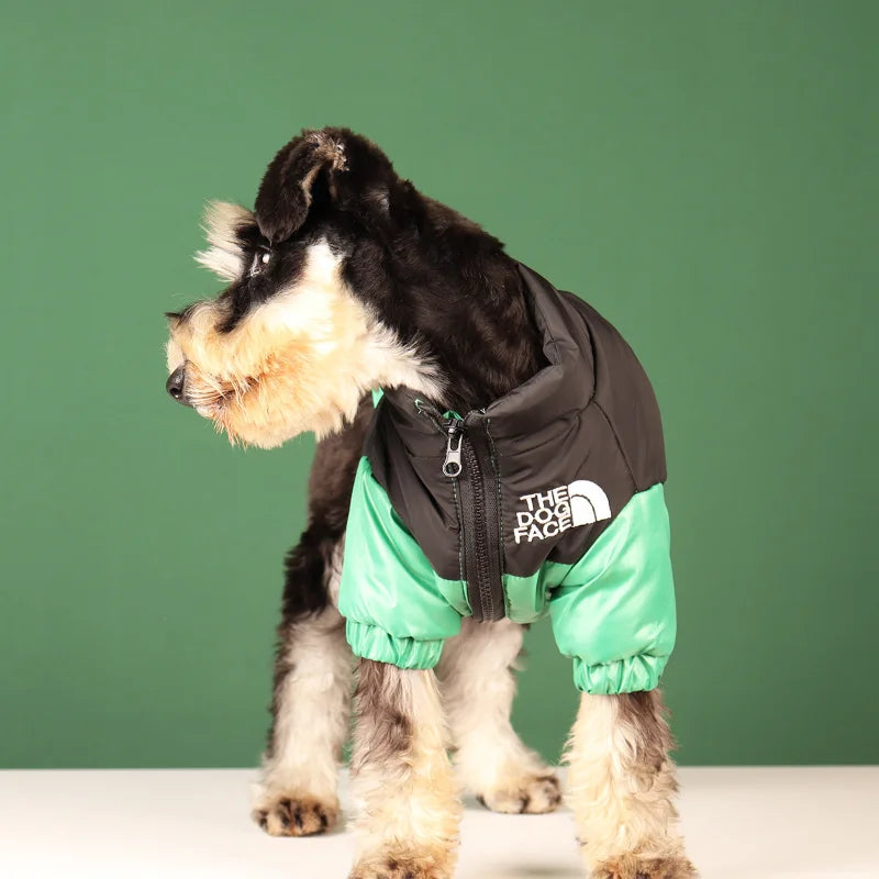 Rover Rituals | Dog Puffer Jacket – Warm, Windproof & Stylish Winter Coat